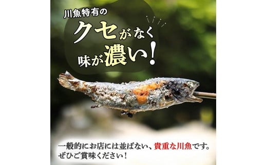 子どもが喜ぶバーベキュー！清流育ちの四万十あめご（約700g）【BBQ専用竹串付き】おつまみ バーベキュー BBQ アウトドア アメゴ 魚 魚介 川魚 塩焼き 小分け  冷凍 8～10匹  個包装／Eay-01