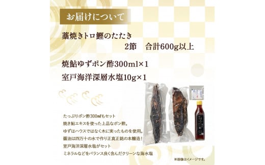 藁焼き かつおタタキ 2節セット（600g） わら焼き 6人前 高知 藁焼き 戻り鰹 鰹 船上凍結 鮮度良好 ポン酢付き タレ付き 四万十町 小分け 冷凍／Ess-17 