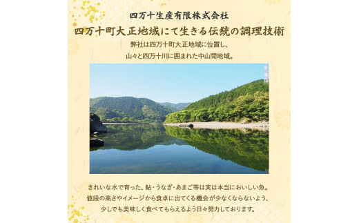 藁焼き かつおタタキ 2節セット（600g） わら焼き 6人前 高知 藁焼き 戻り鰹 鰹 船上凍結 鮮度良好 ポン酢付き タレ付き 四万十町 小分け 冷凍／Ess-17 