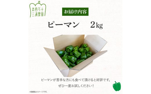 縲蝉コ育エ蜿嶺サ倥題i蜴壹ず繝・繝シ繧キ繝シシ∵ス蝓ケ譛滄俣荳ュ蛹門ュヲ霎イ阮ャ繝サ蛹門ュヲ閧・譁吩ク堺スソ逕ィ縺ョ縺医$縺ソ蟆代↑縺繝斐シ繝槭Φ2kg シ洲ms-14