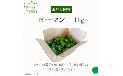 【予約受付】肉厚ジューシー！栽培期間中化学農薬・化学肥料不使用のえぐみ少ないピーマン1kg ／Fms-13