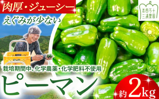 【予約受付】肉厚ジューシー！栽培期間中化学農薬・化学肥料不使用のえぐみ少ないピーマン2kg ／Fms-14