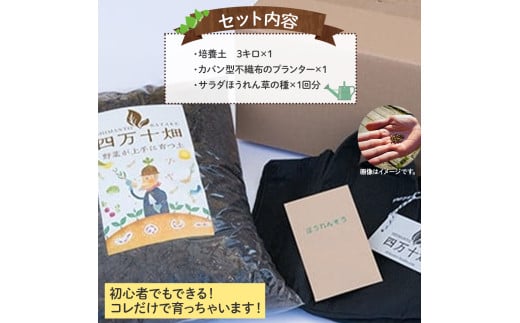 ベランダでも育てられるサラダほうれん草栽培キット／Fis-B06 