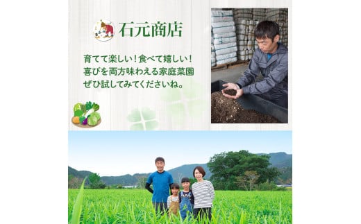 ベランダでも育てられるサラダほうれん草栽培キット／Fis-B06 