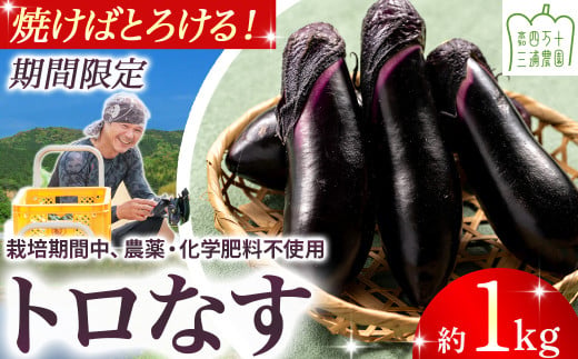 【予約受付】【期間限定】 焼いてトロける！三浦農園のトロなす1kg 栽培期間中農薬・化学肥料不使用 ／Fms-15