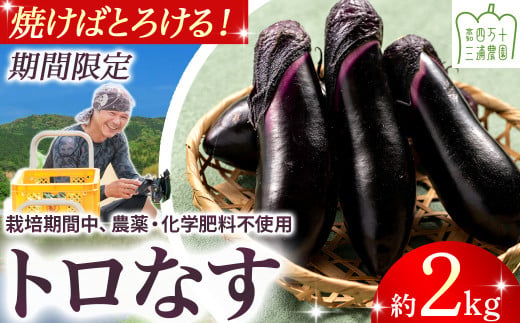 【予約受付】【期間限定】 焼いてトロける！三浦農園のトロなす2kg 栽培期間中農薬・化学肥料不使用 ／Fms-16