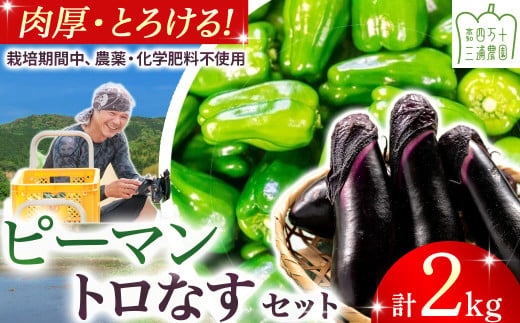 【予約受付】【期間限定】 ピーマン・トロなすセット 2kg（各1kg） 栽培期間中農薬・化学肥料不使用 ／Fms-17