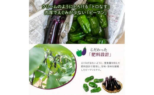 【予約受付】【期間限定】 ピーマン・トロなすセット 2kg（各1kg） 栽培期間中農薬・化学肥料不使用 ／Fms-17