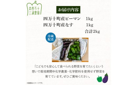 【予約受付】【期間限定】 ピーマン・トロなすセット 2kg（各1kg） 栽培期間中農薬・化学肥料不使用 ／Fms-17