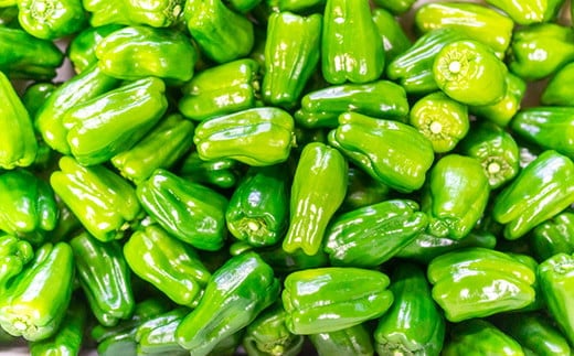【予約受付】【期間限定】 ピーマン・トロなすセット 2kg（各1kg） 栽培期間中農薬・化学肥料不使用 ／Fms-17
