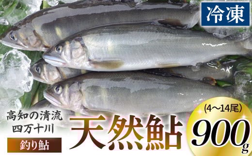 四万十川上流の天然鮎 釣り鮎900g【冷凍4～14尾】Esj-41k
