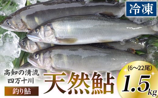 四万十川上流の天然鮎 釣り鮎1.5kg【冷凍 6～22尾】【着日指定不可】Esj-43k
