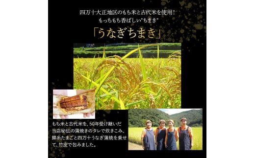 うなぎ ちまき3袋セット　Esu-78 