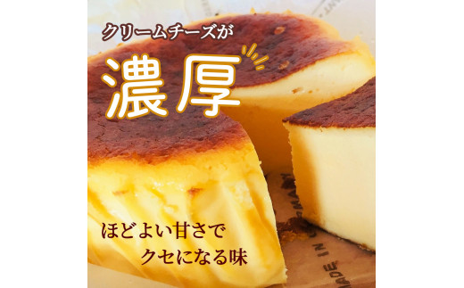 バスクチーズケーキ ～四万十の米粉入り～ 4号 12cm Bmu-A36