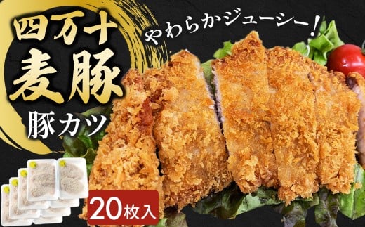 四万十麦豚 豚カツ （約100g×20枚）平野協同畜産 豚肉 麦豚 四万十麦豚 ブランド豚 トンカツ 豚カツ 冷凍カツ 豚ロース 背ロース／Ahc-20