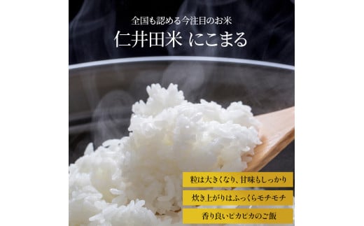 【令和７年産米】【無洗米】 仁井田米にこまる 5kg こだわりの無洗米でおいしく簡単！／Bos-C02