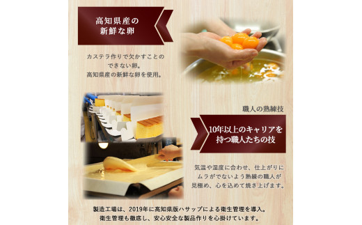 åäžåã®ç±³ç²ã«ã¹ãã©ãéŸéЬã®å€ªéŒå€ããã¬ãŒã³ïŒåäžåã®ç·è¶åæ€2æ¬ã»ãã Bmu-A38