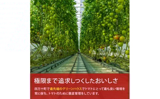 åä»4ãæã§800ä»¶è¶
ãåäžåç£ããããåãšãïŒFbg-A003