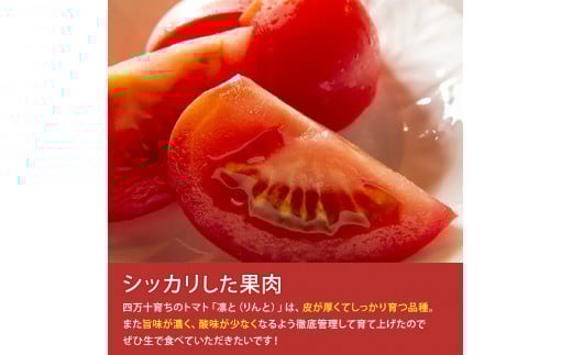 åä»4ãæã§800ä»¶è¶
ãåäžåç£ããããåãšãïŒFbg-A003