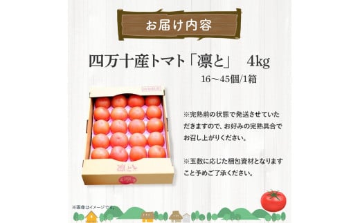 åä»4ãæã§800ä»¶è¶
ãåäžåç£ããããåãšãïŒFbg-A003