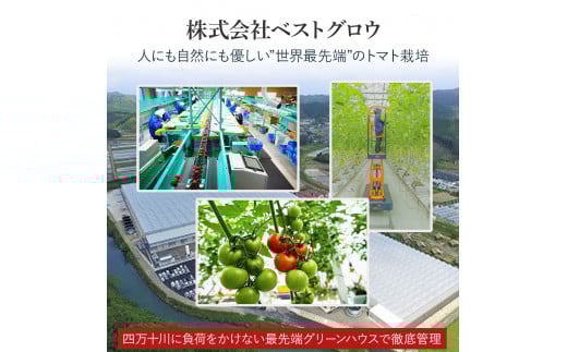 åä»4ãæã§800ä»¶è¶
ãåäžåç£ããããåãšãïŒFbg-A003