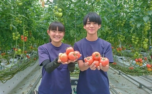 åä»4ãæã§800ä»¶è¶
ãåäžåç£ããããåãšãïŒFbg-A003