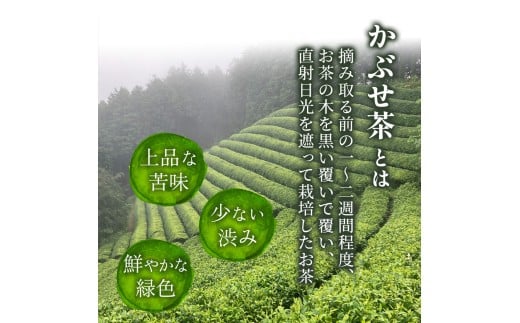 四万十川源流のお茶シュトーレン／Ikg-109