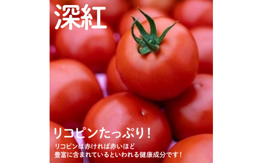 赤さがリコピン満載の証！四万十産トマト「深紅」4kg（1箱24～55玉）／Fbg-006