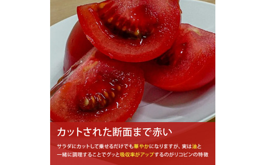 赤さがリコピン満載の証！四万十産トマト「深紅」4kg（1箱24～55玉）／Fbg-006