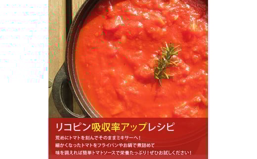 赤さがリコピン満載の証！四万十産トマト「深紅」4kg（1箱24～55玉）／Fbg-006