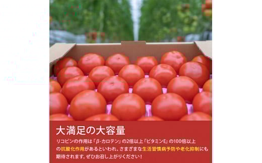 赤さがリコピン満載の証！四万十産トマト「深紅」4kg（1箱24～55玉）／Fbg-006