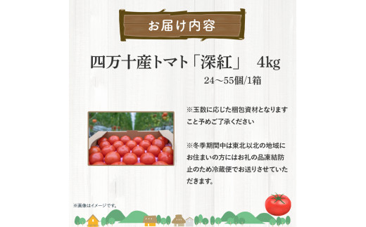 赤さがリコピン満載の証！四万十産トマト「深紅」4kg（1箱24～55玉）／Fbg-006