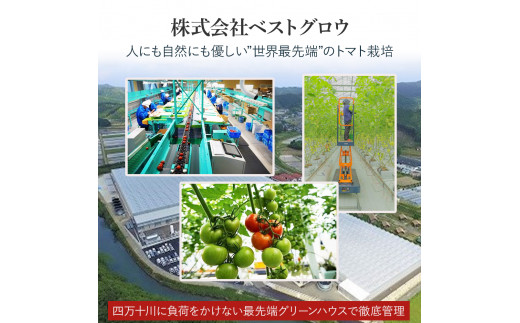 赤さがリコピン満載の証！四万十産トマト「深紅」4kg（1箱24～55玉）／Fbg-006