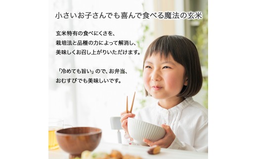 【有機玄米】希少な四万十の香る米 1升（1.5kg）セット 四万十INEKA（稲華香米） ／Fsg-05