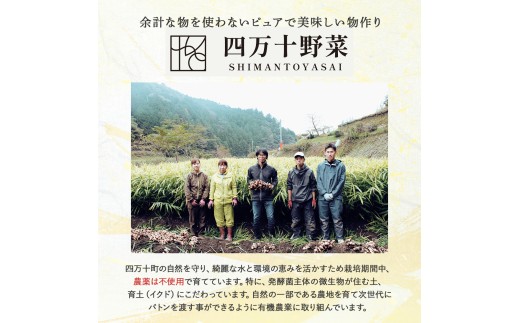 【有機玄米】希少な四万十の香る米 1升（1.5kg）セット 四万十INEKA（稲華香米） ／Fsg-05