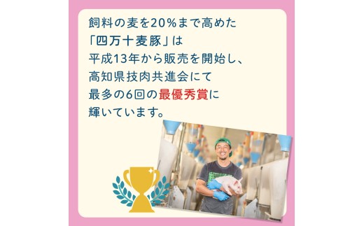 【四万十麦豚ポークジャーキー】ブラックペッパー3パックセット ／Ahc-30