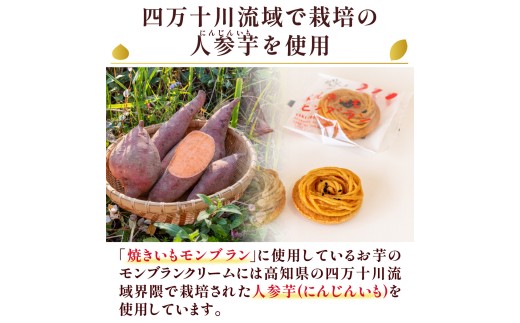 栗と芋の焼きモンブラン アソート(6個入り)。サブレ生地にしっとり栗・芋のクリームがたまらない／Qdr-A195 
