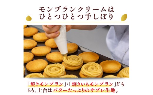 栗と芋の焼きモンブラン アソート(6個入り)。サブレ生地にしっとり栗・芋のクリームがたまらない／Qdr-A195 