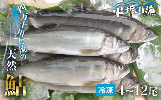 四万十川上流の天然鮎　冷凍　火振り漁鮎（4～12尾）【着日指定不可】Esj-11k
