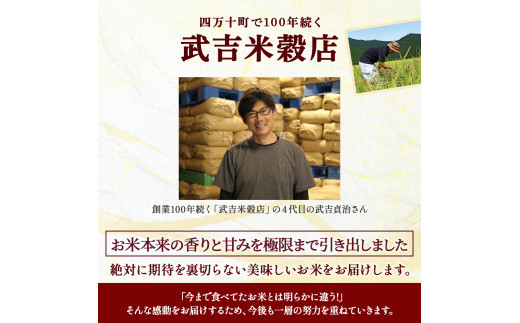 ウソのような本当の香りに感動！仁井田米5㎏【武吉米穀店人気NO.１】／Btb-C02