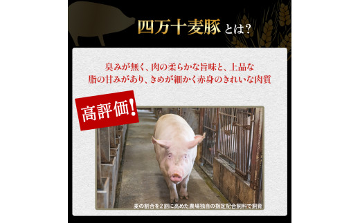 もっちもち皮にファン急増中！にら饅頭セット　Qak-A27