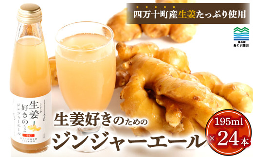 生姜たっぷり本格派！生姜好きのためのｼﾞﾝｼﾞｬｰｴｰﾙ 24本セット Qak-A13