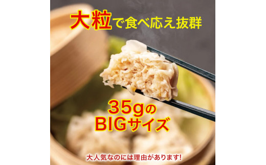 ブランド豚を使った本格飲茶！豚まん・肉しゅうまいセット(大) Qak-28
