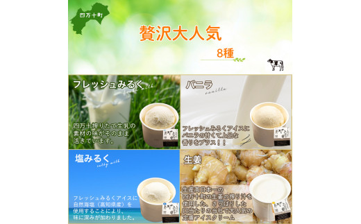 æŸãããŠçä¹³ä»èŸŒã¿ã®æ¿åãã«ã¯ã¢ã€ã¹ãèŽ
æ²¢8çš®16åã»ãããQak-37