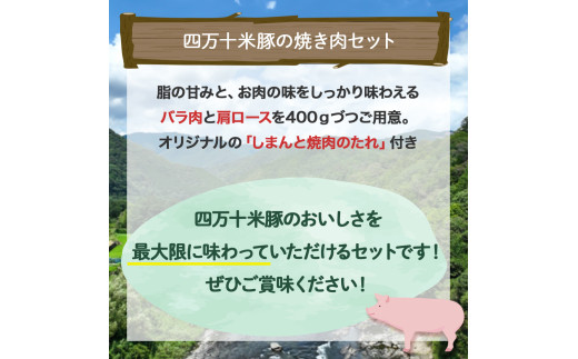 米で育ったブランド豚「しまんと米豚焼き肉セット」800g（400g×2）／Qjs-02