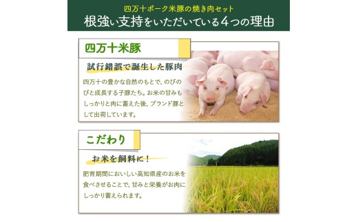 米で育ったブランド豚「しまんと米豚焼き肉セット」800g（400g×2）／Qjs-02