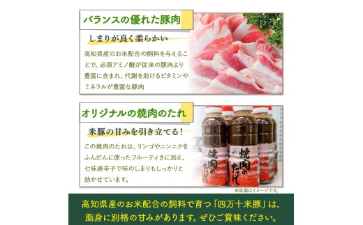 米で育ったブランド豚「しまんと米豚焼き肉セット」800g（400g×2）／Qjs-02