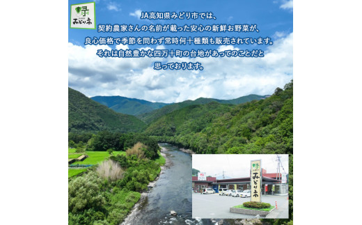 迚ケ陬ス繝昴Φ驟「莉倥″シ∝ョ牙ソ螳牙ィ縺ョ蝨ー繝峨Ξ驥手除シ域流縺碁ヲ吶k7遞ョ繧サ繝繝茨シ会シ讐js-05