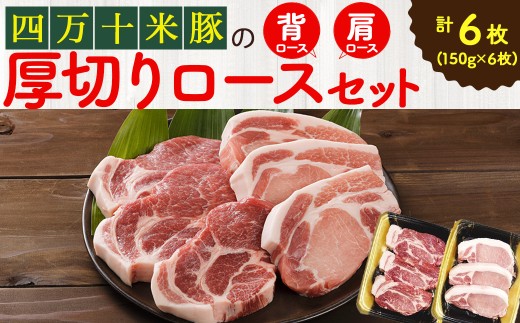 【大人気返礼品】しまんと米豚の厚切りロースセット （150g×6枚）／Qjs-04