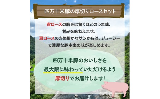 【大人気返礼品】しまんと米豚の厚切りロースセット （150g×6枚）／Qjs-04